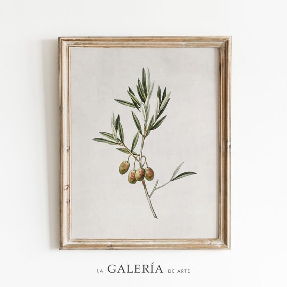 Country Kitchen Print | Olive Tree Print | Botanical Wall Art