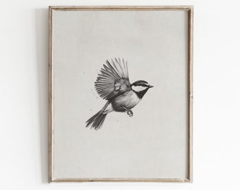 Bird Sketch Print | Animal Illustration | Farmhouse Wall Decor