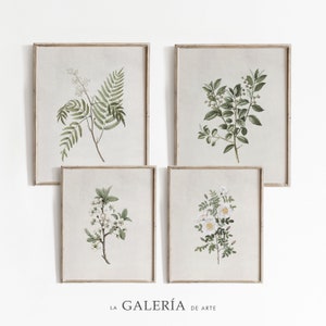 Wildflower Wall Art Prints | Botanical Art Print Set | Printable Gallery Wall Art Set | Art Prints Set of 4