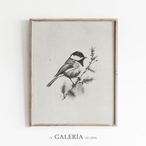 Birds Sketch Print | Animal Drawing  | Rustic Wall Art