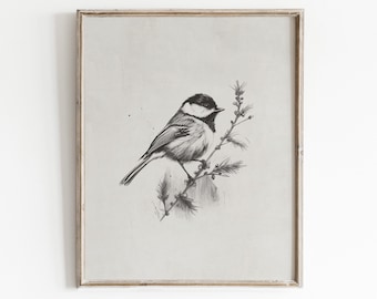 Birds Sketch Print | Animal Drawing  | Rustic Wall Art