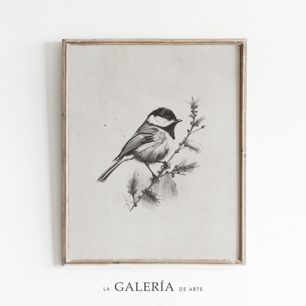 Birds Sketch Print | Animal Drawing  | Rustic Wall Art