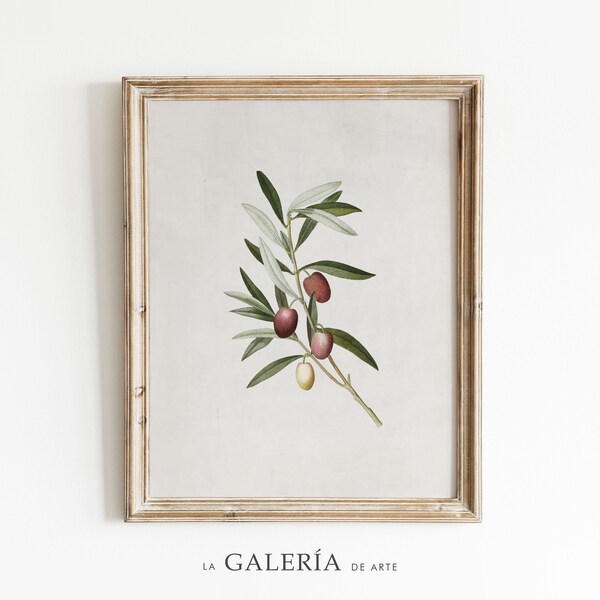 Olive Branch Farmhouse Etsy