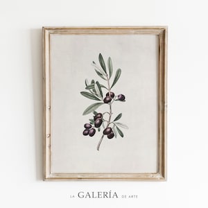 Olive Branch Print | Kitchen Wall Art | Mediterranean Decor