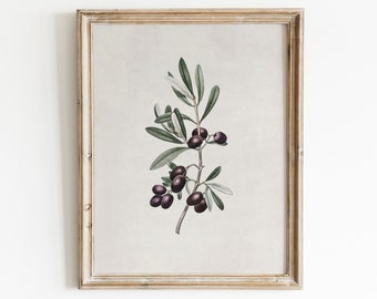 Olive Branch Print | Kitchen Wall Art | Mediterranean Decor