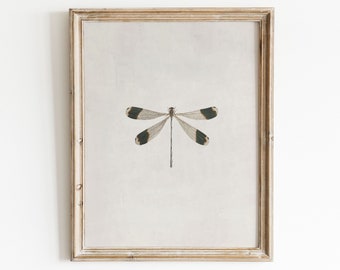 impression de libellule vintage | Impression d'insectes | Art mural nature