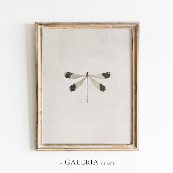 Vintage Dragonfly Print | Insect Print | Nature Wall Art
