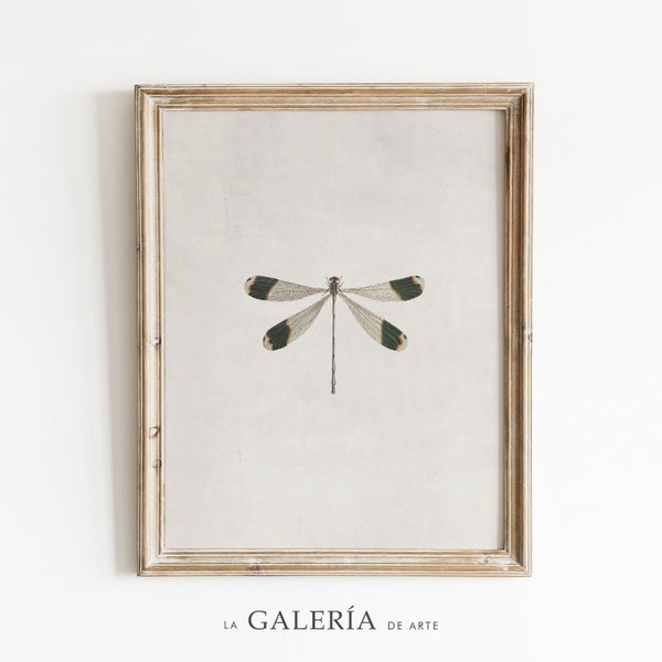 Vintage Dragonfly Print | Insect Print | Nature Wall Art