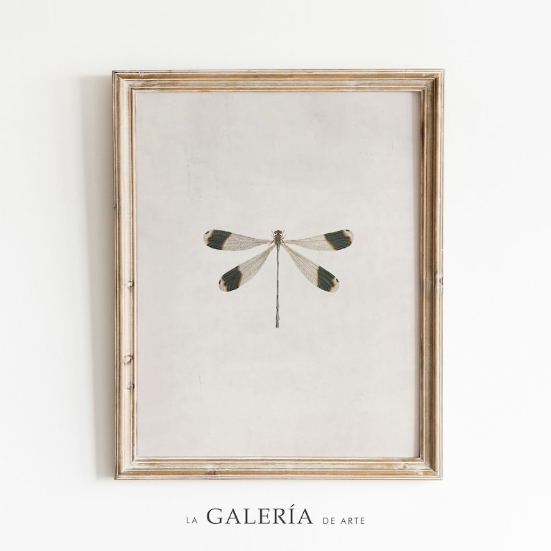 May include: A framed print of a dragonfly with black and white wings and a green body on a light gray background. The frame is light wood with a whitewashed finish. The text "LA GALERIA DE ARTE" is printed below the image.