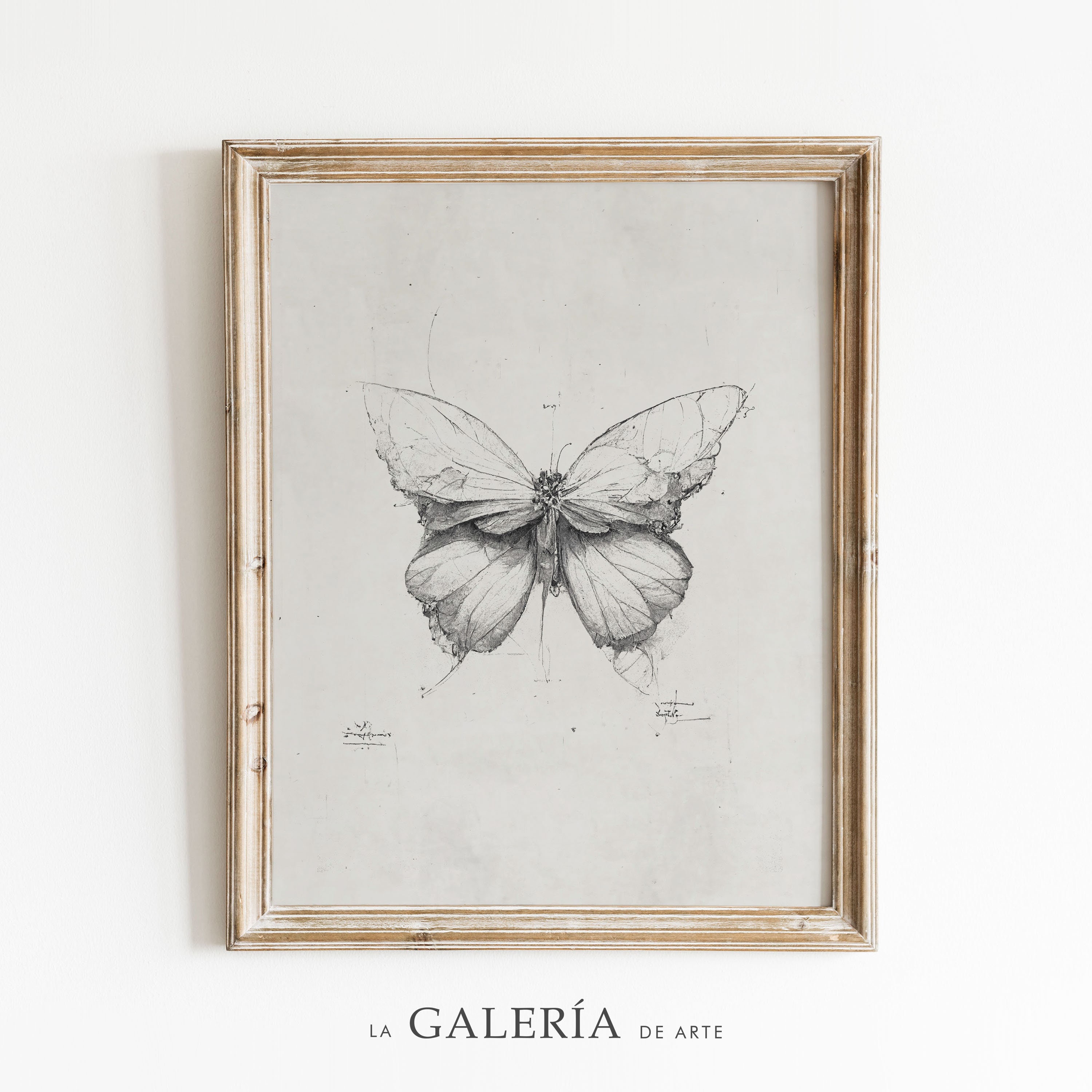 Vintage Sketchbook: Butterfly & Moth Antique Scientific Illustration |  Large Drawing Book for Teens and Adults | Perfect for Painting, Sketching  and