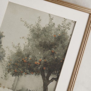 Puede incluir: Una impresi&oacute;n enmarcada de una pintura de acuarela que representa un &aacute;rbol con hojas verdes y frutos naranjas. El &aacute;rbol est&aacute; en el centro de la imagen y est&aacute; rodeado de un fondo blanco. El marco es un marco dorado simple.
