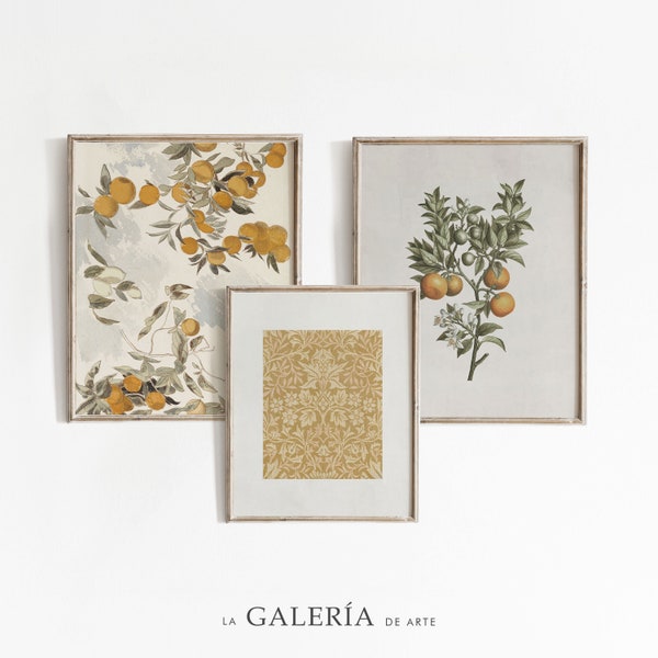 Vintage Gallery Wall Set | Antique Sumer Art Prints | Mediterranean Wall Art | Set of 3