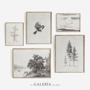 Vintage Sketch Gallery Wall Set  |  Neutral Gallery Wall Prints | Light Art Print Set | Set of 5