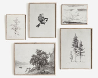 Juego de impresiones de pared con diseño de bocetos vintage / Juego de impresiones de pared con diseño de galería en tonos neutros / Juego de impresiones de arte claro / Juego de 5