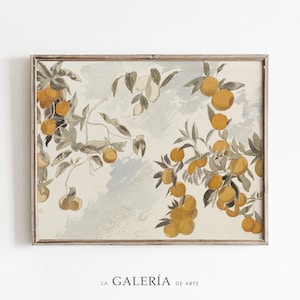 Vintage Fruit Wall Art | Farmhouse Kitchen Decor | Citrus Print | Oranges Wall Art