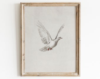 Vintage Dove Print | Animal Illustration | Bird Painting