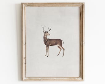 Vintage Deer Print | Animal Painting | Woodland Nursery Art