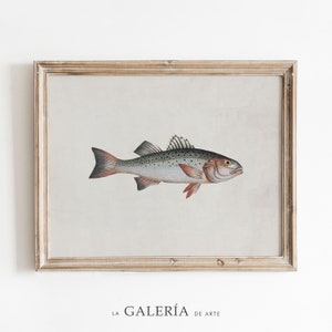 Vintage Fish Print | Animal Painting | Lake House Decor