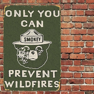 Solo usted puede prevenir incendios forestales Letrero de metal de aluminio de 8" x 12" Smokey The Bear Forest Ranger