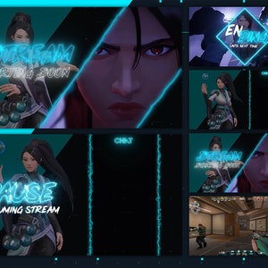 Valorant Stream Pack - Sage Animated Twitch overlays | Sage ingame HUD - MP4 and PNG Format HD Quality | stream overlay,twitch,overlay,game