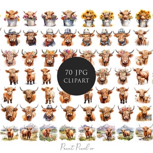 70 Highland cow Clipart Bundle High Quality JPGs Watercolor animal clip art Sublimation Junk Journal Paper crafting Commercial License