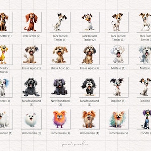 May include: A chart with illustrations of different dog breeds, including Irish Setter, Jack Russell Terrier, Labrador Retriever, Lhasa Apso, Maltese, Newfoundland, Papillon, Pomeranian, and Poodle. Each breed is labeled with its name and a number.