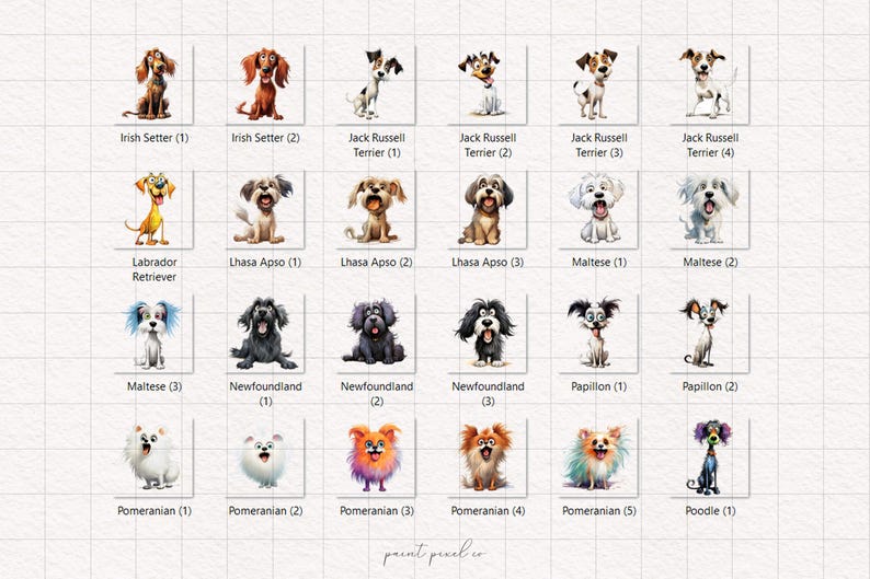 May include: A chart with illustrations of different dog breeds, including Irish Setter, Jack Russell Terrier, Labrador Retriever, Lhasa Apso, Maltese, Newfoundland, Papillon, Pomeranian, and Poodle. Each breed is labeled with its name and a number.