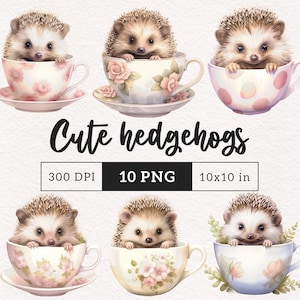 Hérisson mignon clipart PNG animal doux Clip art pépinière art graphiques adorables illustrations pour enfants PNGs Sublimation fabrication de cartes Journalisation
