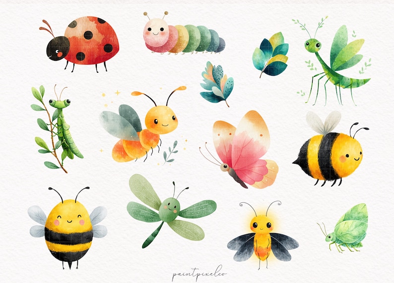 May include: Watercolor illustrations of various insects, including a ladybug, caterpillar, bee, butterfly, and dragonfly. The insects are depicted in a cute, cartoon style with bright colors and friendly expressions. The artwork has a whimsical, playful feel.