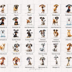 May include: A grid of 36 illustrated dog breeds, each with a name and number. The dogs are depicted in a cartoon style with bright colors and expressive features.
