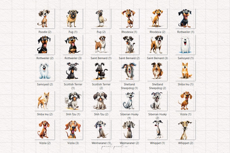May include: A grid of 36 illustrated dog breeds, each with a name and number. The dogs are depicted in a cartoon style with bright colors and expressive features.