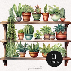 Piante su mensola Clipart Acquerello Giardino Interno Balcone Fogliame PNG Illustrazione per amanti del giardino Immagini carine per planner Album Uso commerciale