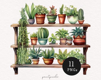 Plants on Shelf Clipart Watercolor Indoor Garden Balcony Foliage PNG Garden lover illustration Cute Planner images Scrapbook Commercial use