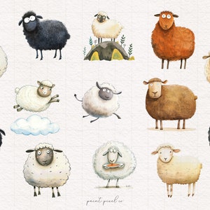May include: A collection of 11 watercolor illustrations of sheep in various poses. The sheep are white, black, brown, and orange. Some sheep are jumping, some are standing, and some are eating. The illustrations are on a white background.