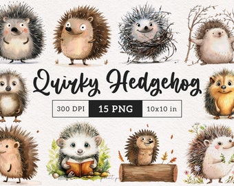 Quirky Hedgehog PNG Funny hedgehog Clipart Silly Woodland Animals Whimsical Forest wildlife Sublimation Cartoon Hedgehog on a log Jungle PNG