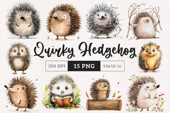 Quirky Hedgehog PNG Funny hedgehog Clipart Silly Woodland Animals Whimsical Forest wildlife Sublimation Cartoon Hedgehog on a log Jungle PNG