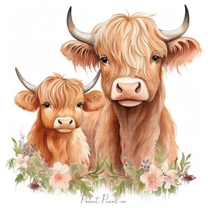 8 ハイランド牛のクリップアート 高品質 JPG 母牛と子牛の動物のクリップアート 昇華 ジャンクジャーナル ペーパークラフト 商用ライセンス