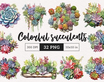 May include: Watercolor illustrations of colorful succulents in various arrangements. The image features a variety of succulent types in shades of green, blue, pink, and red. Text on the image reads "Colorful succulents", "300 DPI", "32 PNG", and "10x10 in".