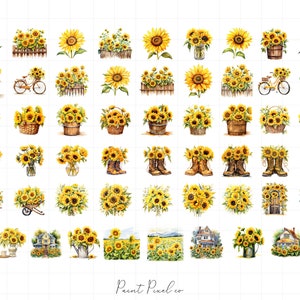 K&ouml;nnte beinhalten: Eine digitale Collage aus 48 Aquarell-Illustrationen von Sonnenblumen in verschiedenen Arrangements. Die Sonnenblumen sind in verschiedenen Umgebungen dargestellt, darunter K&ouml;rbe, Vasen und Wagen. Einige Sonnenblumen sind mit Stiefeln, Fahrr&auml;dern und H&auml;usern kombiniert.