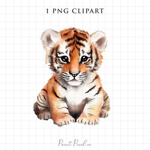 Baby Tiger PNG Baby Safari Animal clipart Watercolor Jungle Animals clipart Sublimation Tiger Nursery Art Animal sticker Free commercial use