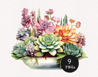 May include: Watercolor illustration of a succulent arrangement in a white oval planter. The arrangement features a variety of succulents in shades of green, pink, purple, and orange. The image includes the text "9 PNGs" in a black circle.