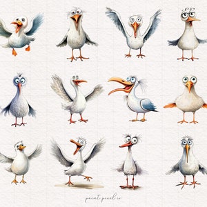 K&ouml;nnte beinhalten: Ein Set mit 12 Aquarell-Illustrationen von Cartoon-M&ouml;wen mit verschiedenen Ausdr&uuml;cken und Posen. Die M&ouml;wen sind wei&szlig; mit schwarzen Augen und Schn&auml;beln. Einige der M&ouml;wen tragen Brillen. Die Illustrationen sind auf wei&szlig;em Hintergrund.