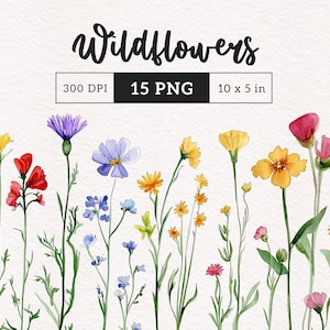 Bordas de flores silvestres clipart Primavera floral Aquarela Verão Flores silvestres coloridas Sublimação Prado Papel digital Artesanato Uso comercial