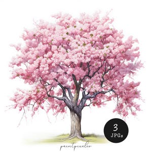 3 kersenbloesembomen JPG Clipart aquarel afdrukbare kunst sublimatie kaarten maken Mixed Media digitale download Papier ambachtelijke ongewenste dagboek