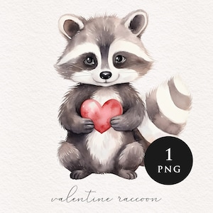 Valentine raccoon clipart PNG Watercolor animals lovers day Sublimation transfer tshirt animal holding hearts clip art graphic illustration