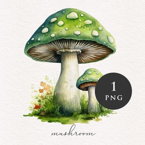 Champignon clipart PNG Aquarelle Champignons verts Forêt magique Fantasy Toadstools illustration graphiques Sublimation Transfert PNGs Conte de fées