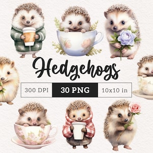 Hérisson mignon clipart PNG doux petit animal Clip art chambre d'enfant fleur graphiques adorables Woodland PNGs Sublimation Carterie Journalisation