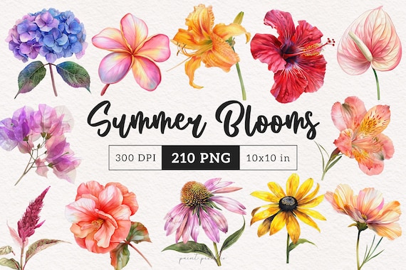 Summer Flowers Clipart PNG Watercolor Summer floral Graphics Bright Summer Blooms Vibrant Botanical illustration Tropical Wedding Flower