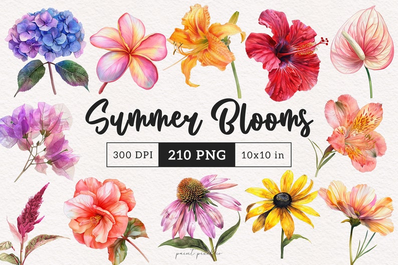 K&ouml;nnte beinhalten: Eine Sammlung von 10 Aquarell-Illustrationen von Sommerblumen, darunter Hortensie, Frangipani, Lilie, Hibiskus, Anthurium, Bougainvillea, Kamelie, Sonnenhut, Schwarzaauge und Kosmos. Die Blumen sind in verschiedenen Schattierungen von Rosa, Rot, Orange, Gelb, Blau und Lila gemalt. Die Illustrationen sind 300 DPI und 210 PNG-Dateien, jede mit einer Gr&ouml;&szlig;e von 25,4 x 25,4 cm.