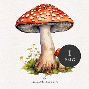 Champignon clipart PNG Aquarelle Champignons rouges Forêt magique Fantasy Toadstool illustration graphiques Sublimation Transfert PNGs Conte de fées